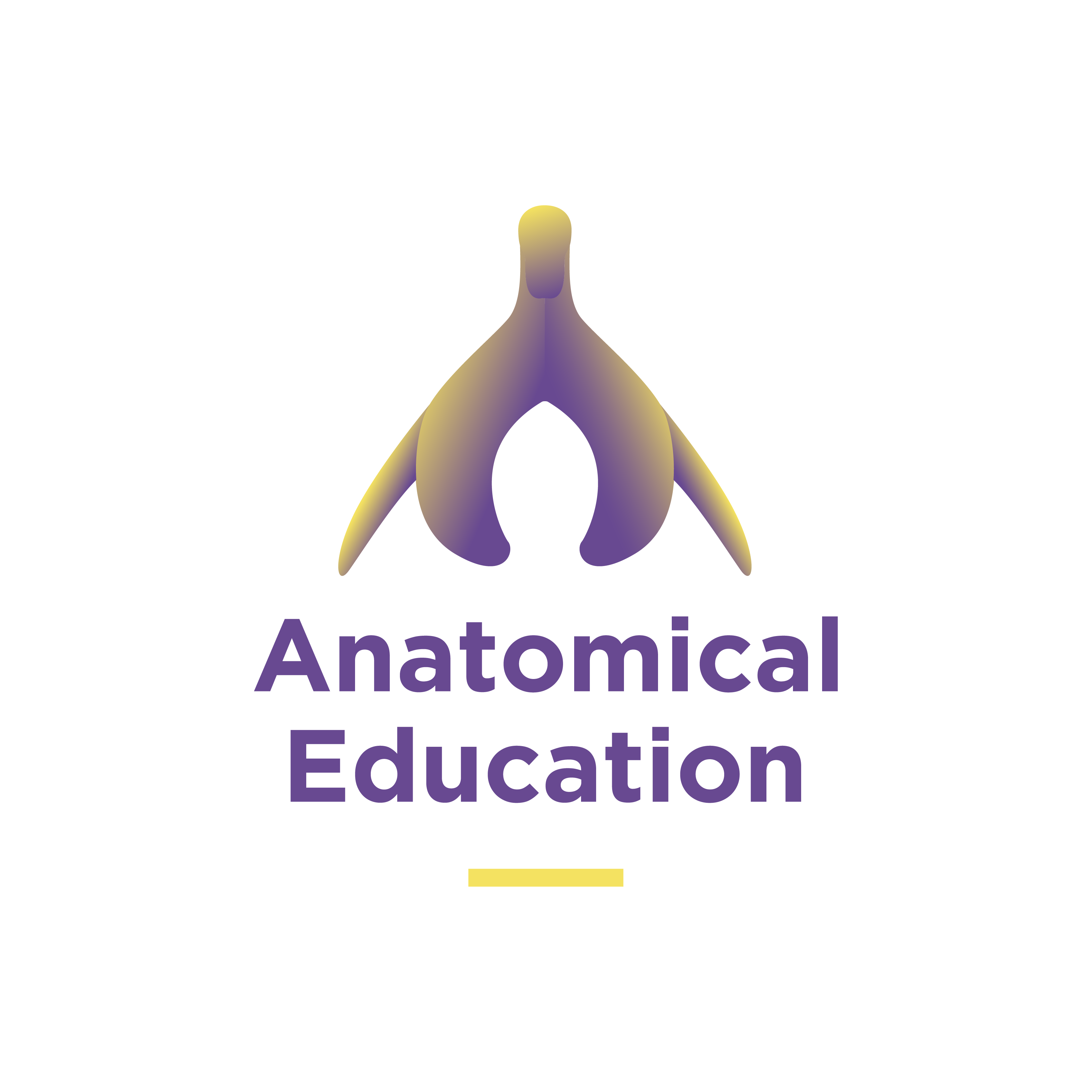 Anatomical Education